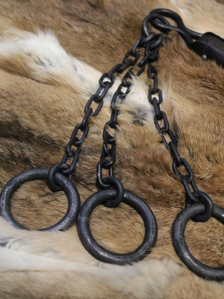 Fléau d'armes avec 3 chaînes pour le combat d'exhibition – Image 2